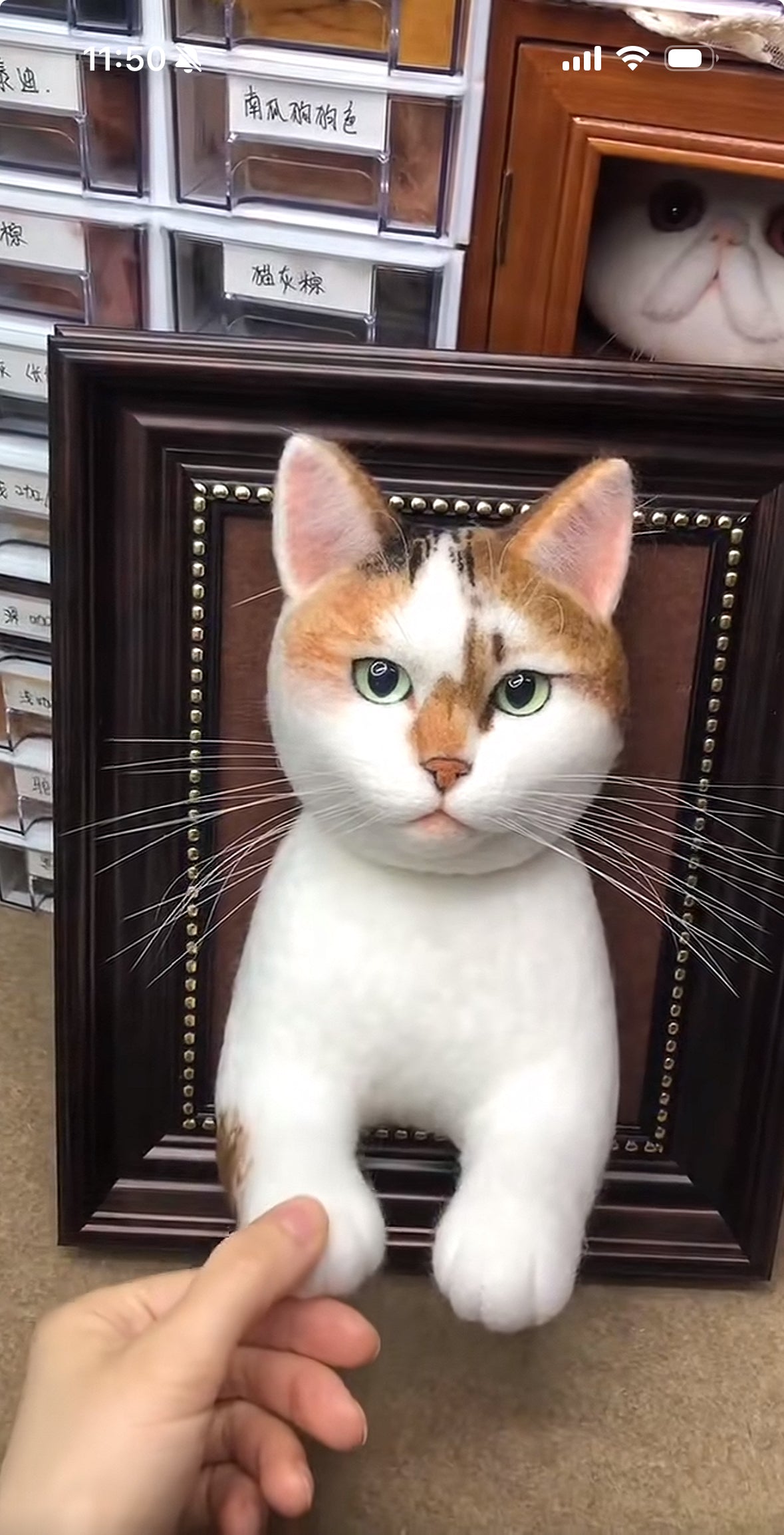 Cat~Customize Wool-Felt