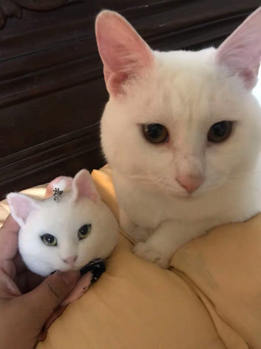 Cat~Customize Wool-Felt